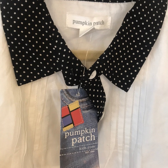 NWT collared Pumpkin Patch button up Size 3 shirt - Picture 2 of 2